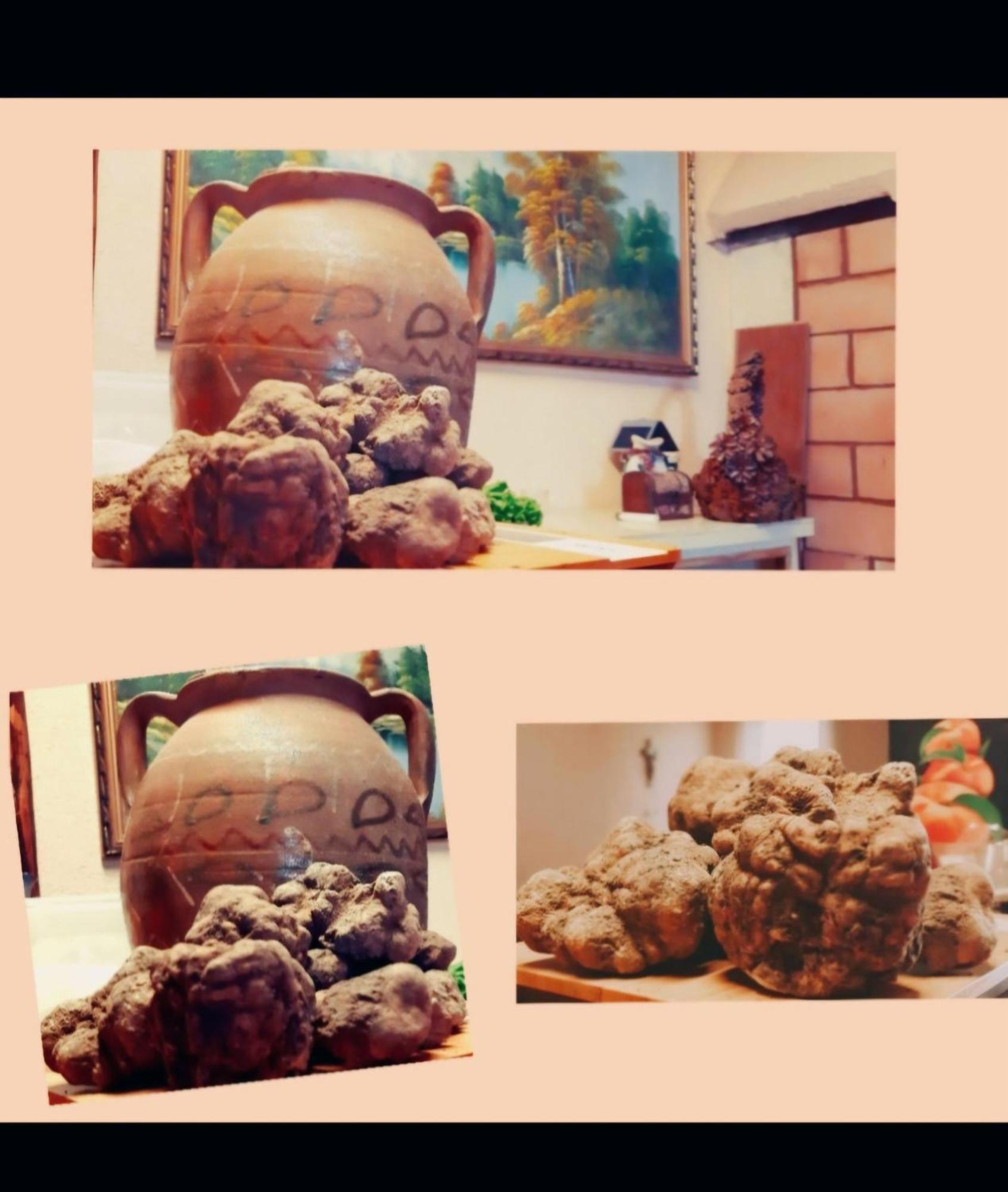 House Lana Apartment Krsan ภายนอก รูปภาพ