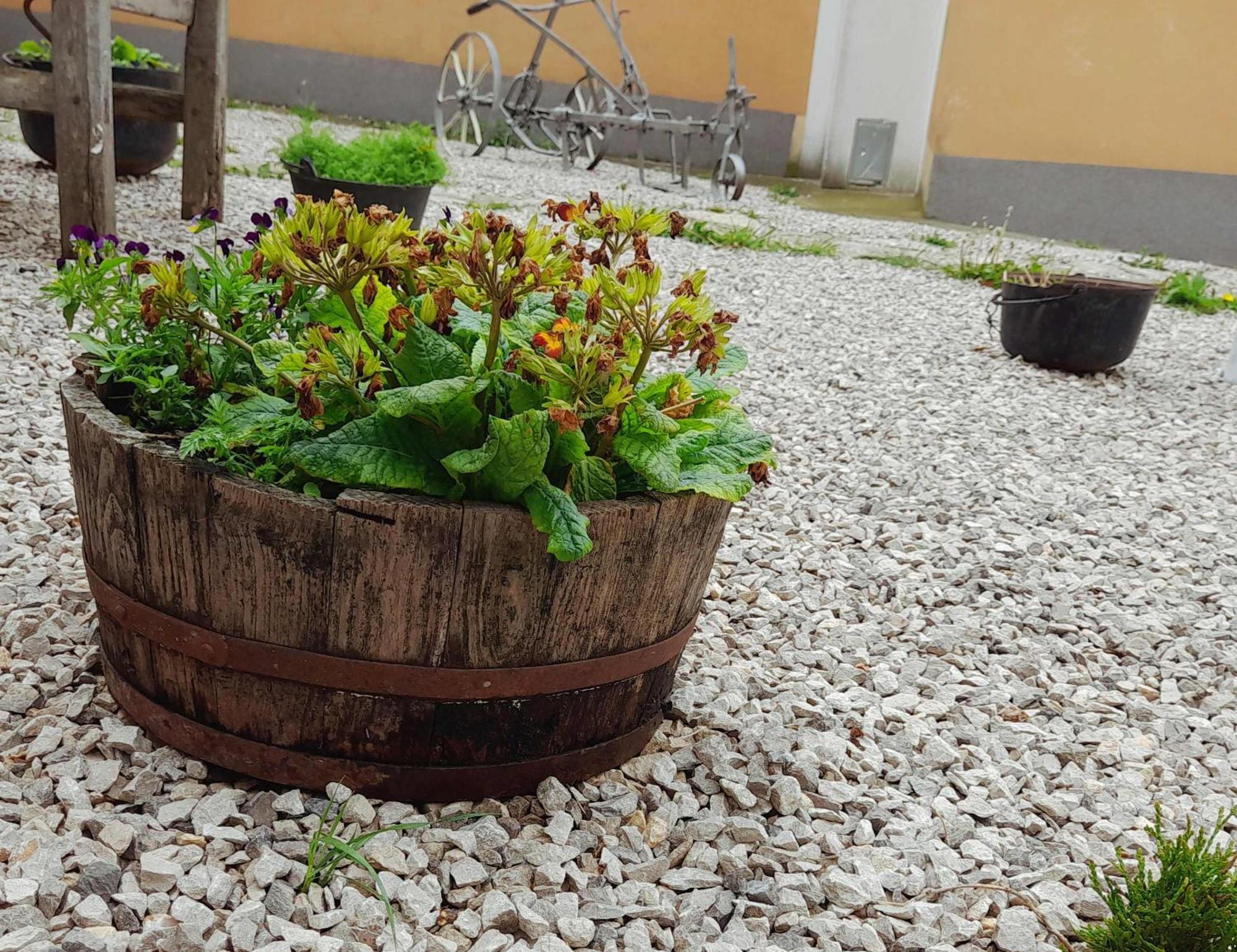 House Lana Apartment Krsan ภายนอก รูปภาพ